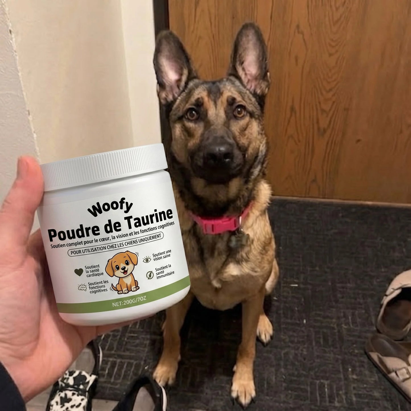 Stoppez le déclin de votre chien avec la taurine Woofy Life™