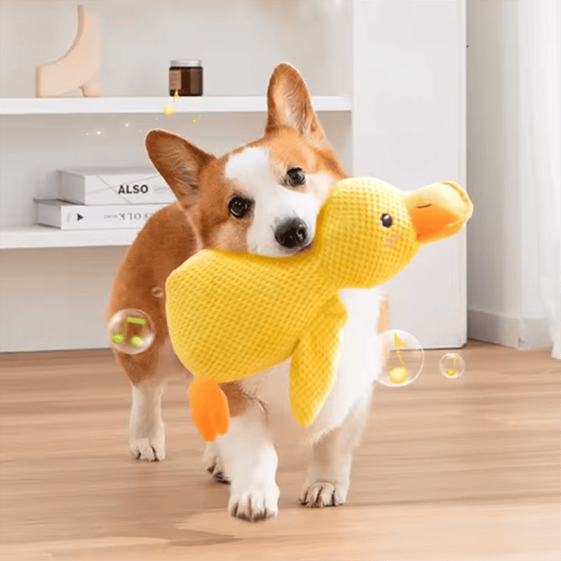 Canard anti-stress