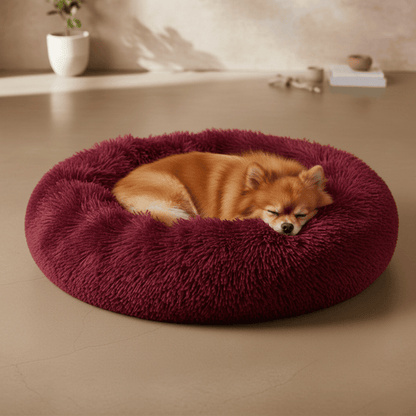 Coussin pour chien anti-stress - Woofylife