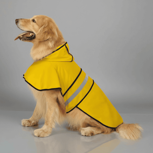 Manteau pour chien réfléchissant - Woofylife