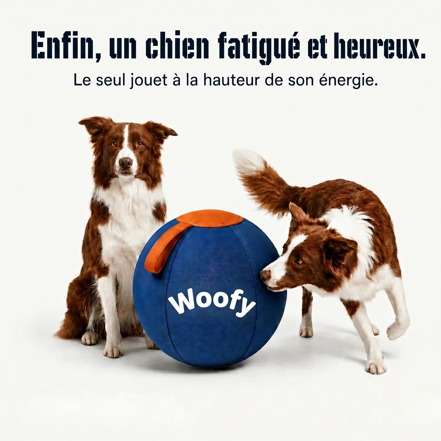 Balle géante indestructible Woofylife