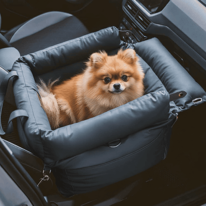 Siège  auto pour petit chien