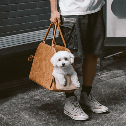 Sac de transport pour chien
