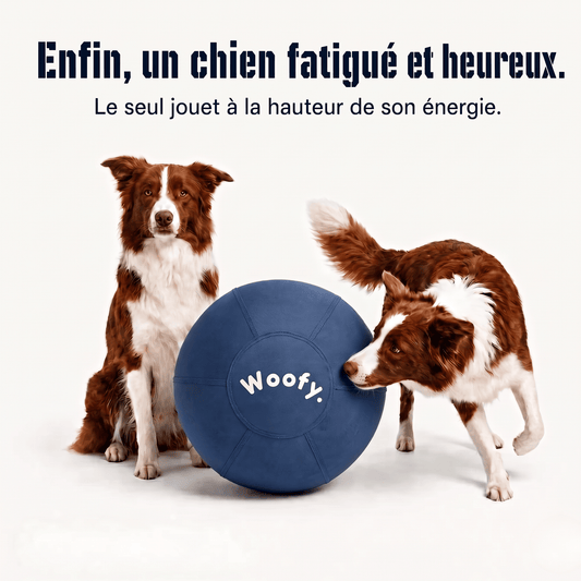 Balle géante Woofylife