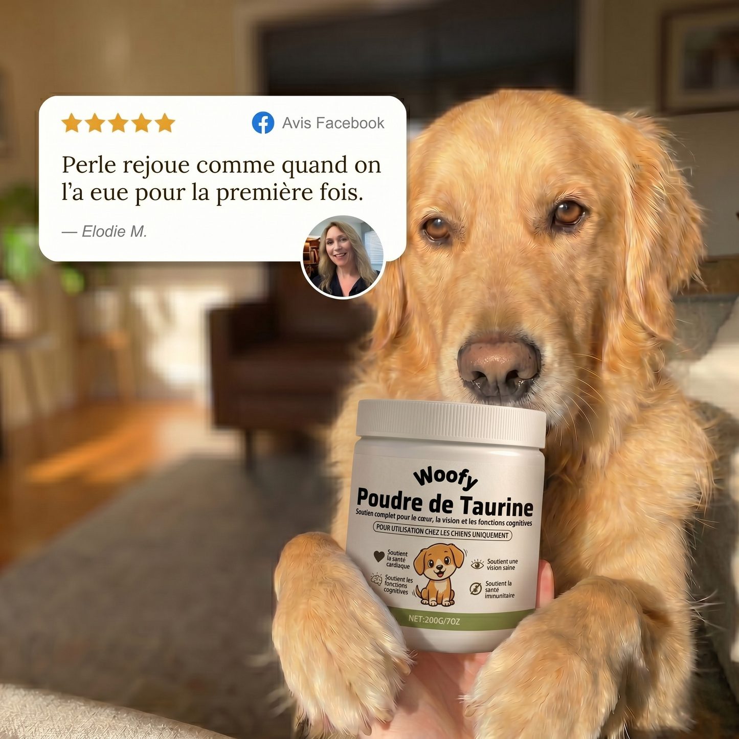 Stoppez le déclin de votre chien avec la taurine Woofy Life™