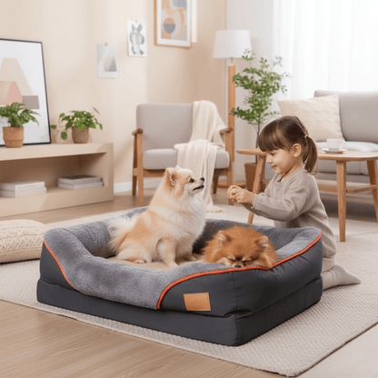Panier pour chien orthopédique - woofylife
