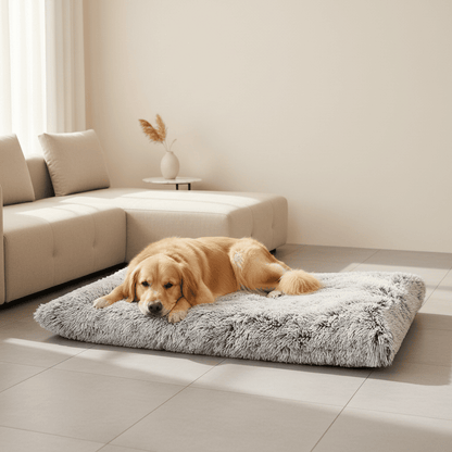 Tapis pour chien - Woofylife