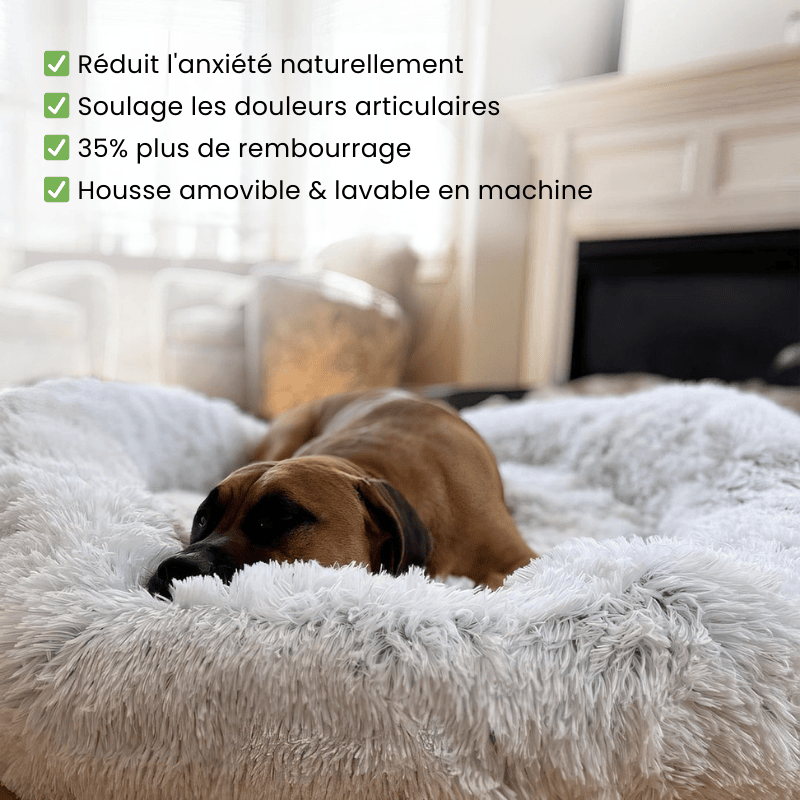 Coussin pour chien anti-stress - Woofylife