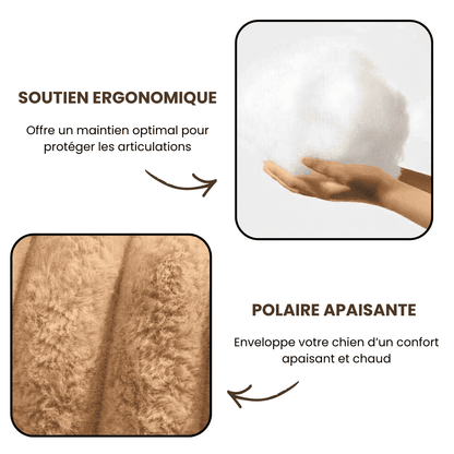 Lit pour chien orthopédique | Woofylife