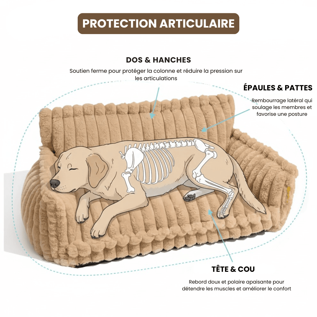 Lit pour chien orthopédique | Woofylife