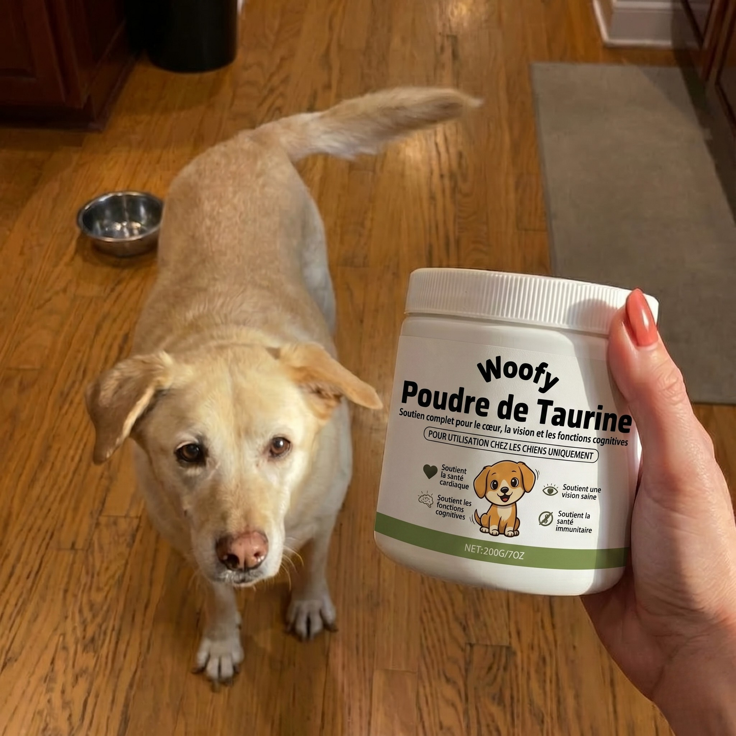 Stoppez le déclin de votre chien avec la taurine Woofy Life™