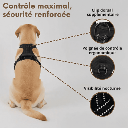 HARNAIS ANTI-TRACTION WOOFY LIFE