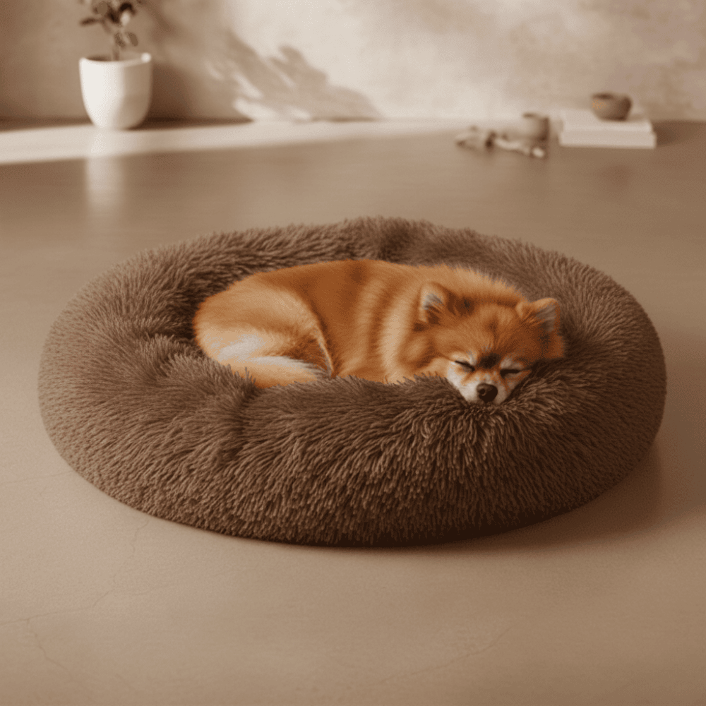 Coussin pour chien anti-stress - Woofylife