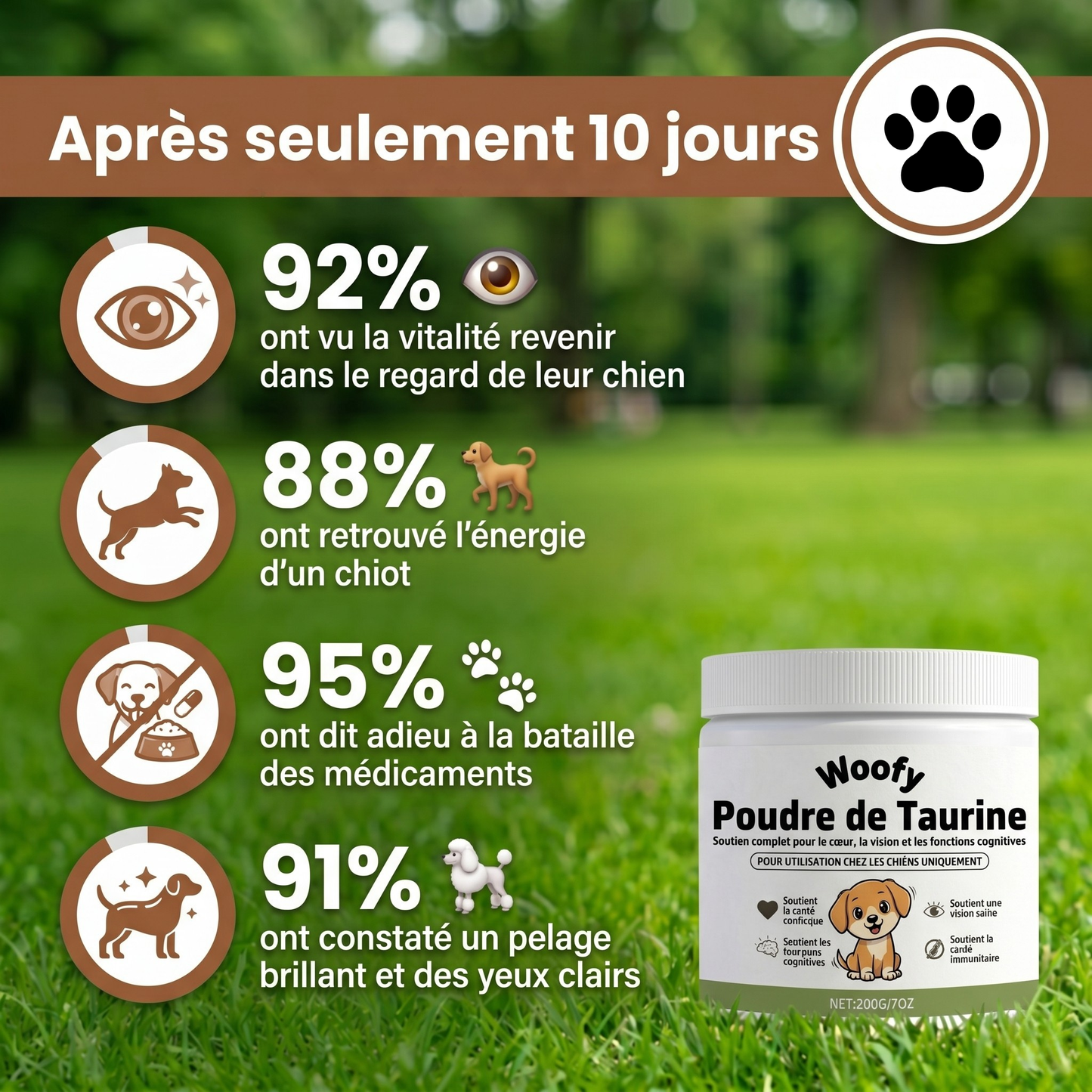 Stoppez le déclin de votre chien avec la taurine Woofy Life™