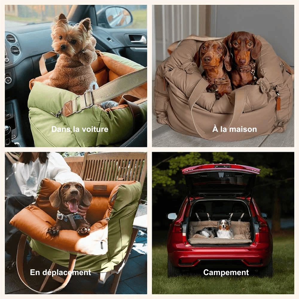 Siège auto pour chien - Voyage en toute sécurité