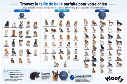 Balle géante Woofylife