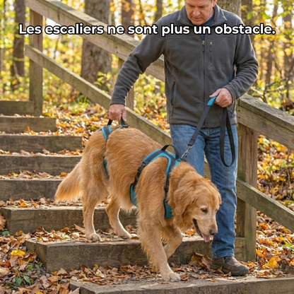Harnais de mobilité Woofy Life