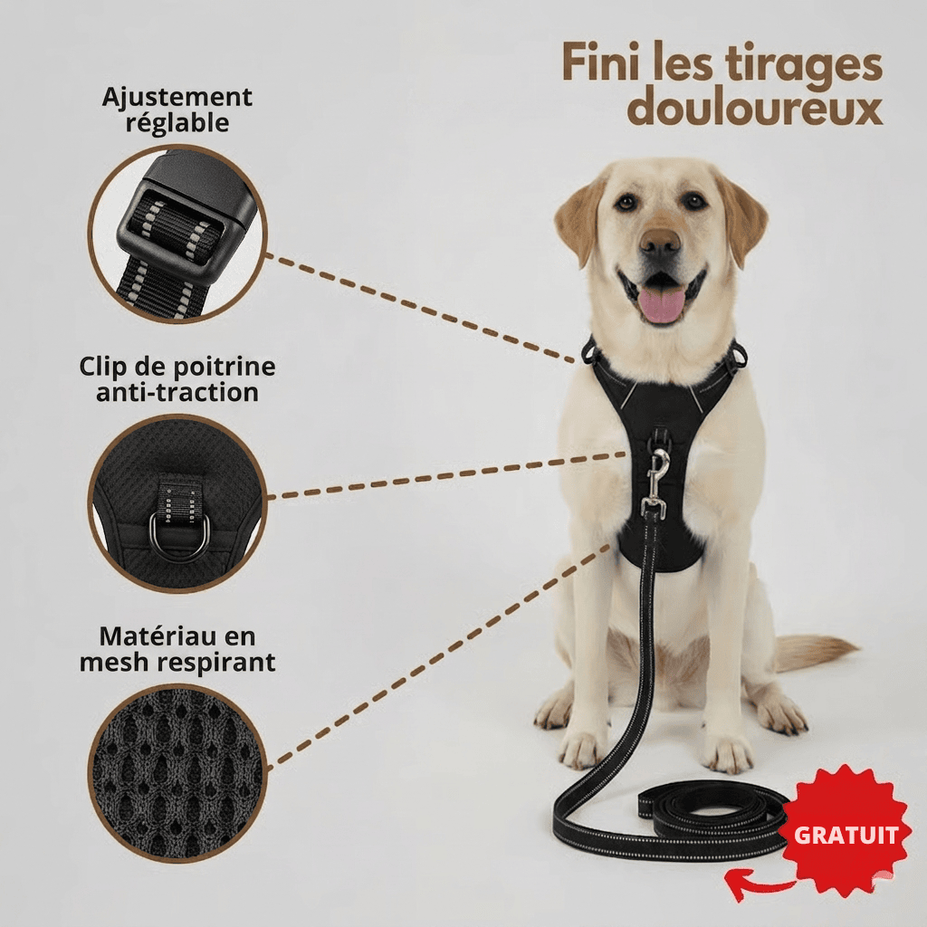 HARNAIS ANTI-TRACTION WOOFY LIFE