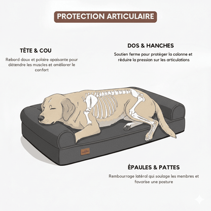 Matelas pour chien orthopédique - Woofylife