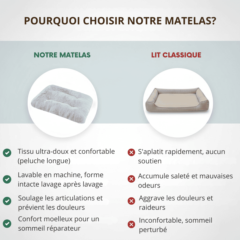 Tapis pour chien - Woofylife