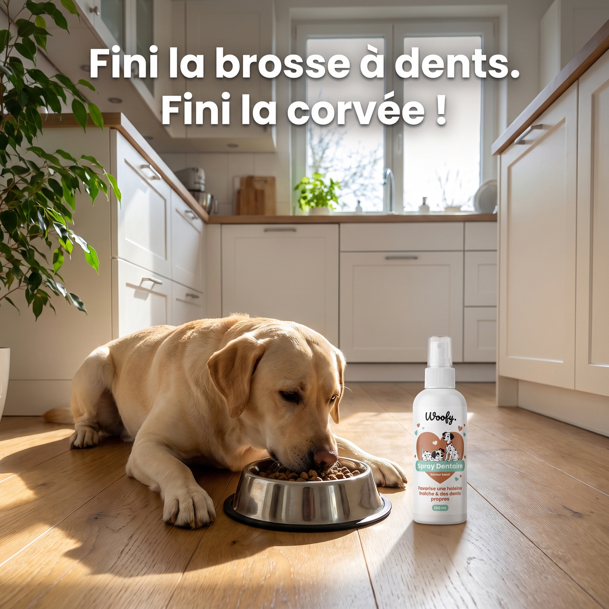 Spray Dentaire Woofy