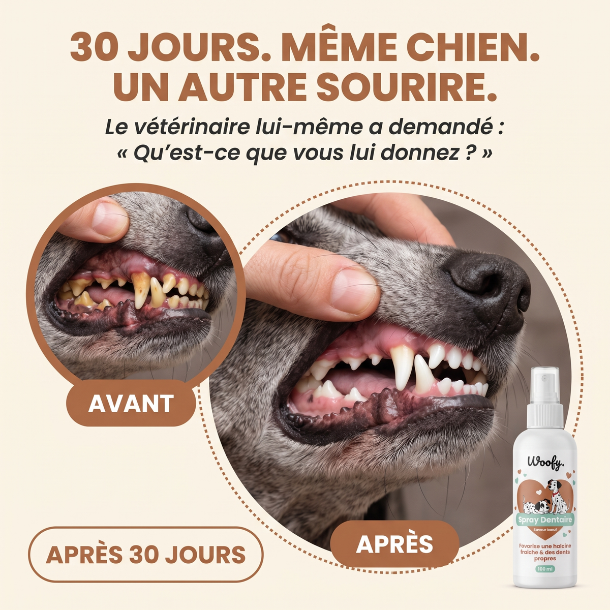 Spray Dentaire Woofy