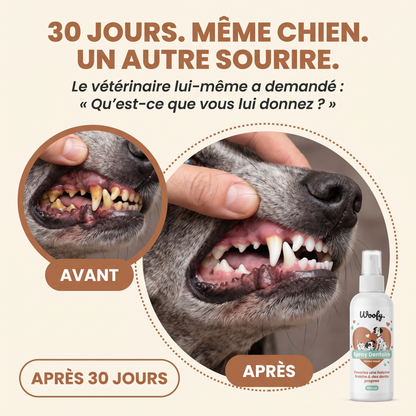 Spray Dentaire Woofy