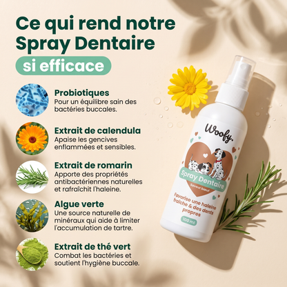 Spray Dentaire Woofy