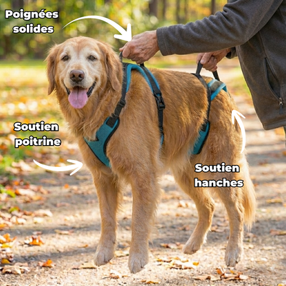 Harnais de mobilité Woofy Life
