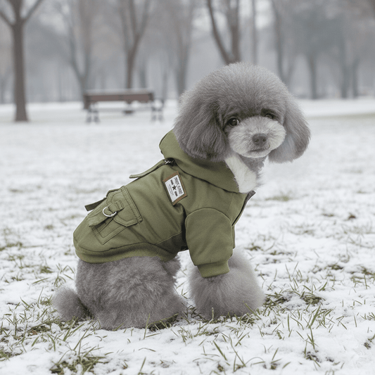 Manteau pour petit chien - Woofylife