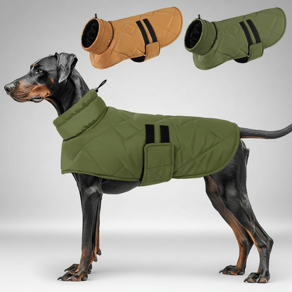 Manteau pour chien - Woofylife