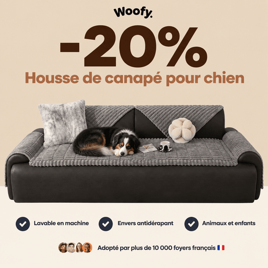 Woofy — Housse de canapé pour chien