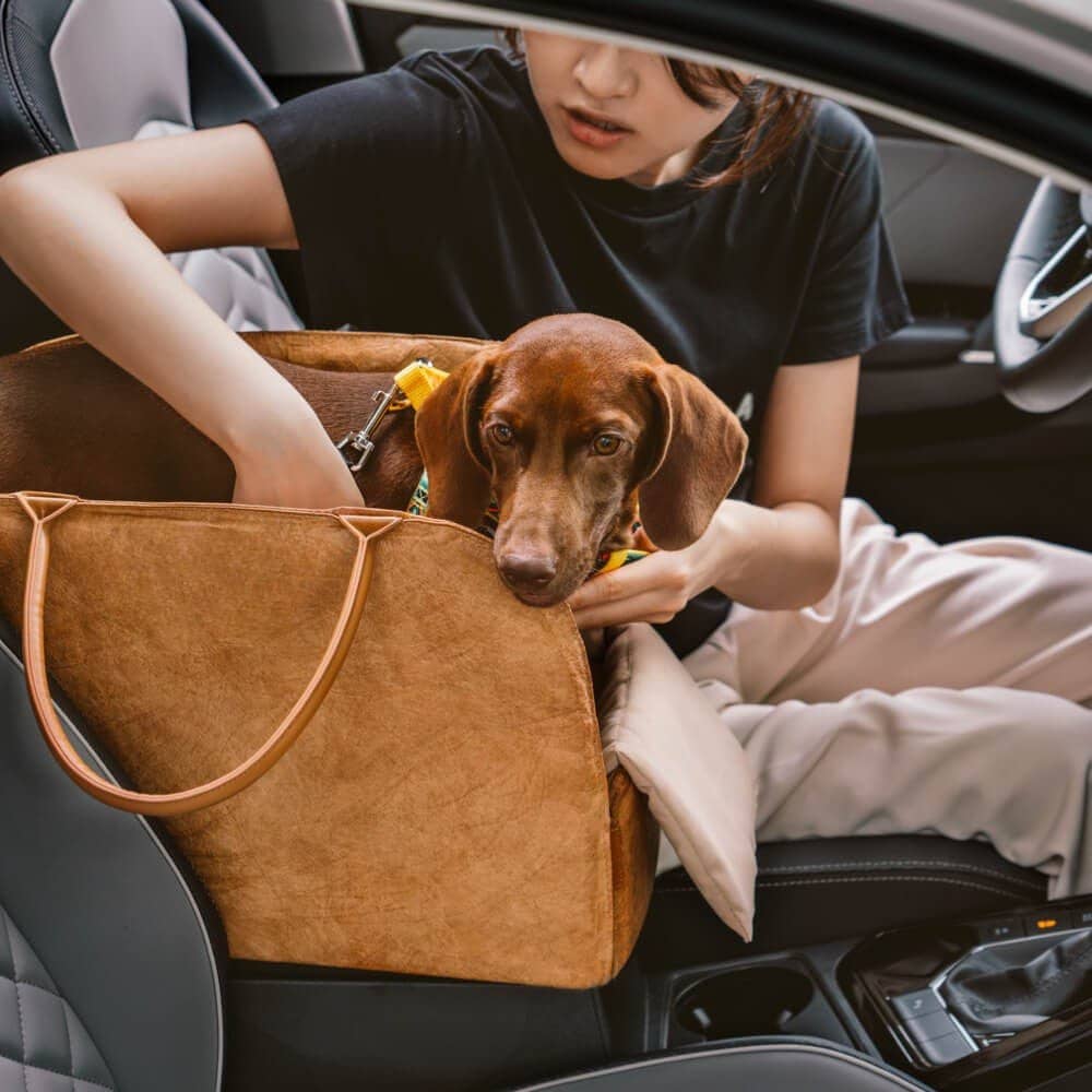 Sac de transport pour chien - Woofylife