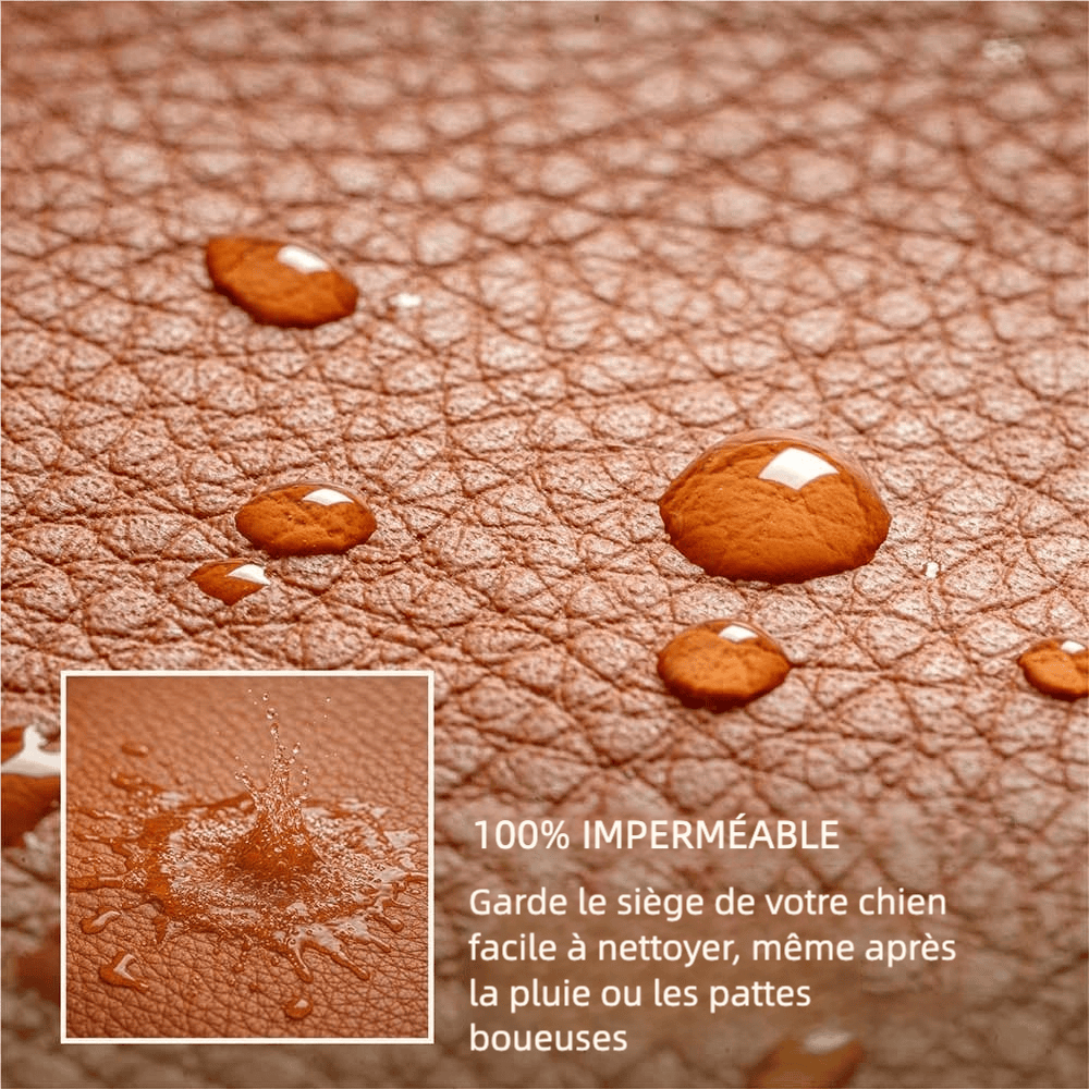 Siège auto pour grand chien - Woofylife