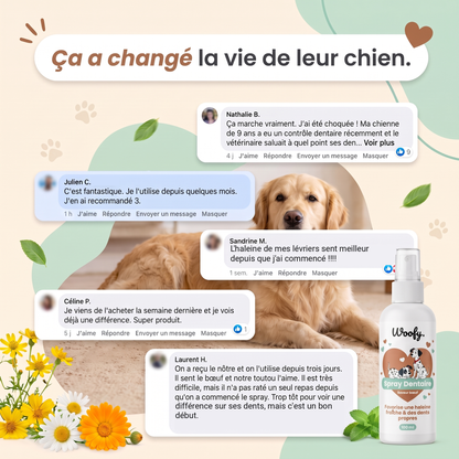 Spray Dentaire Woofy